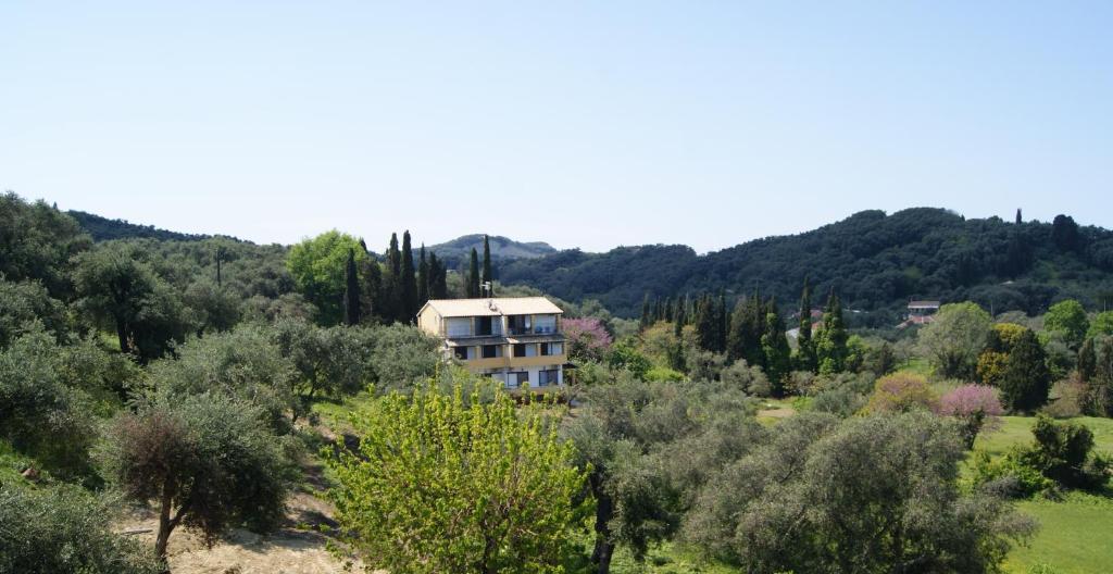 Bouka Astrakeri